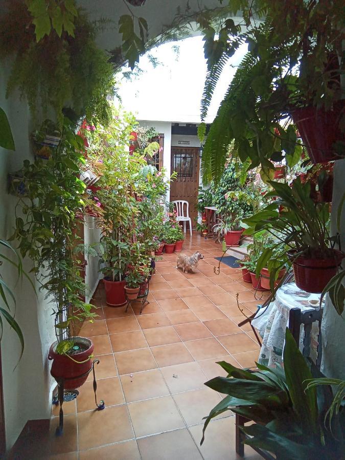 Arco De La Cobijada Leilighet Vejer de la Frontera Eksteriør bilde